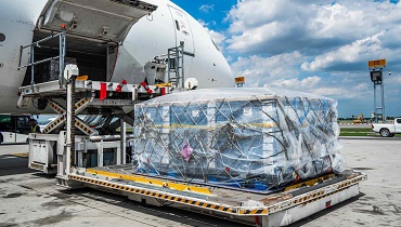  Air Freight Kenya